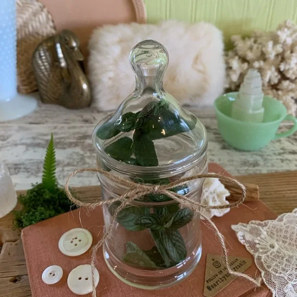 Vintage Glass Canister 🫙 - Picture 3 of 9